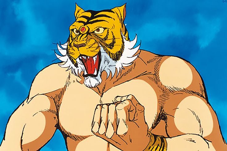 Tiger Mask Japanese Manga Series